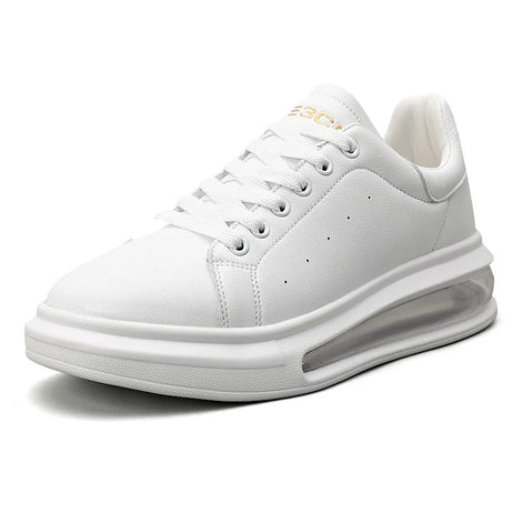 Sole Air Shoes