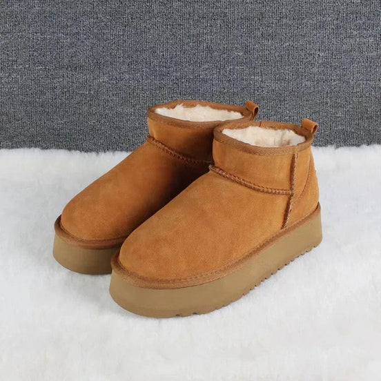 Warm Sugar Ankle Boots